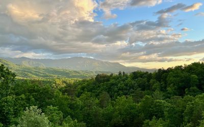 Embark on the Ultimate Road Trip: Discover the Magic of the Blue Ridge Parkway, Smoky Mountains, and Appalachian Mountains