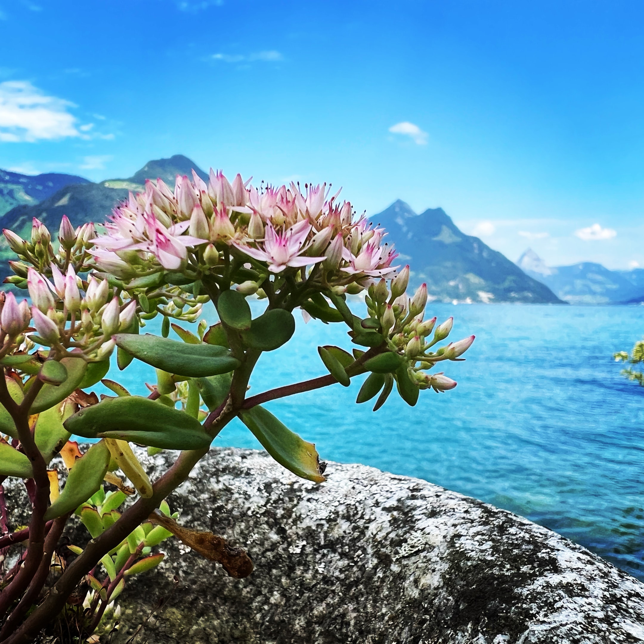 A Day In Switzerland 