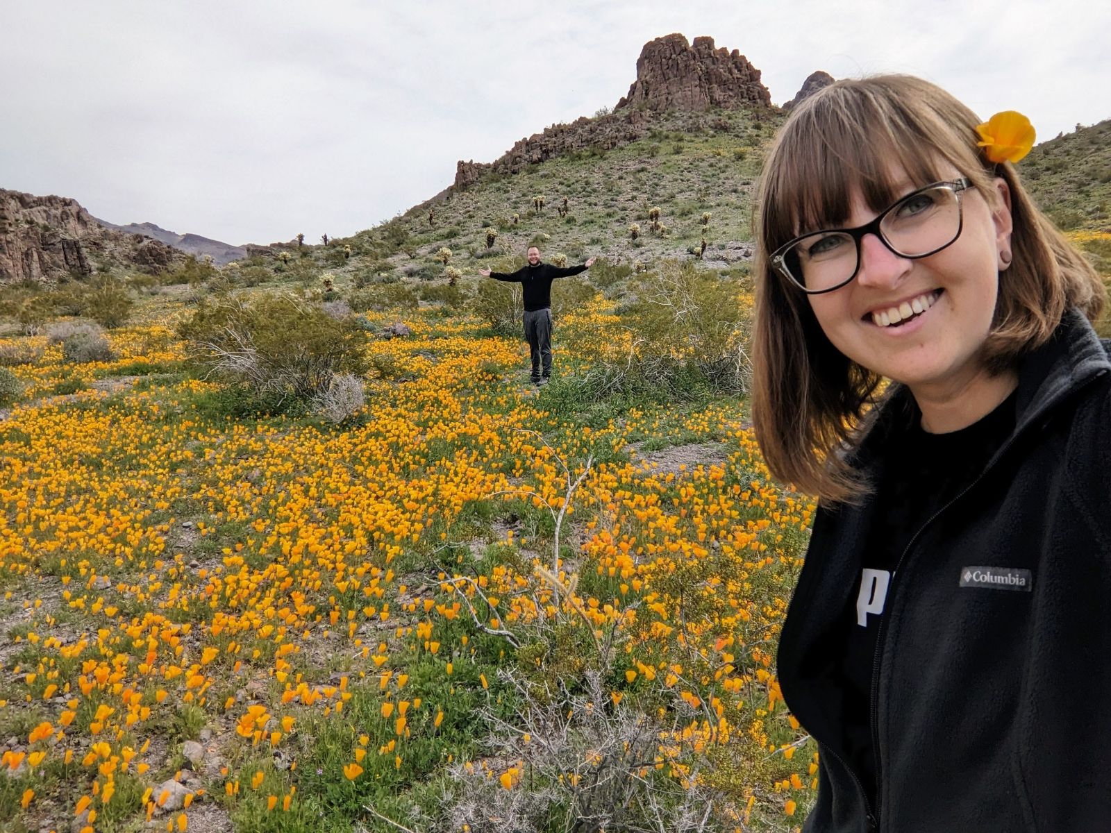We Stumbled Across A Somewhat Rare 'Super Bloom' Of Golden Poppies In Arizona!