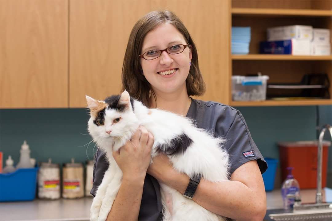 Former Veterinary Technician, Kim, In Action At The Previous Vet Hospital She Worked At.